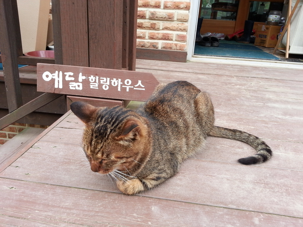 홍천힐링하우스 이미지