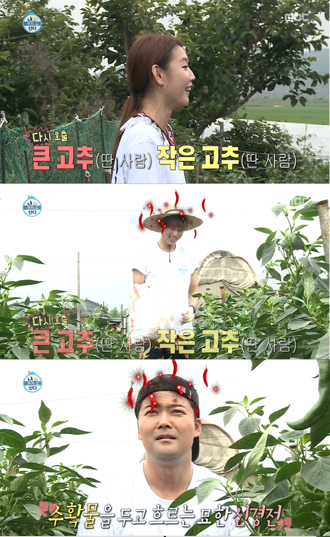 나혼자산다 고추밭의 흔한 고추부심(feat.브레드 이즈 더 베스트) | 인스티즈