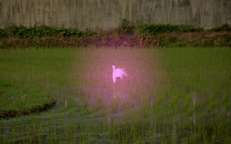 꽁뜨 이미지