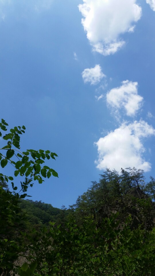 커피탕 이미지