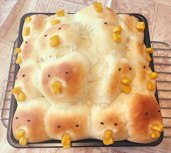 아무생각없이 들어왔는데 뻘하게 터지는 짤들 | 인스티즈