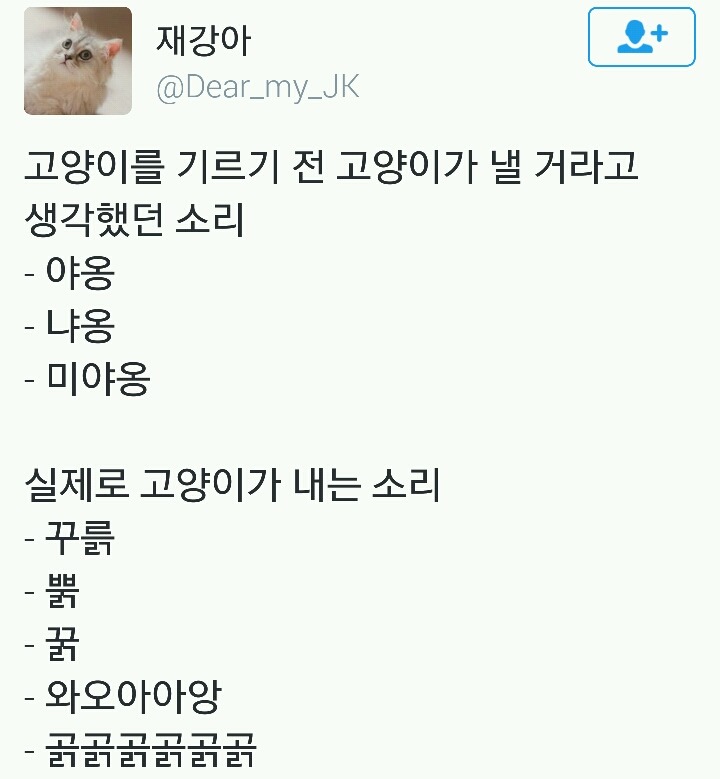 고양이를 기르기 전과 실제로 내는 소리.twt | 인스티즈