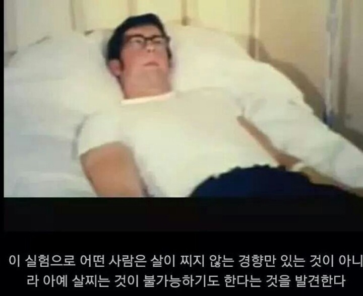 음식을 먹어도 살안찌는 사람들에 대한자료 | 인스티즈