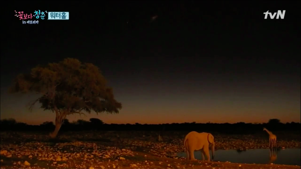 신서유기 멤버들과 베트남 여행 vs 트와이스와 아프리카 여행 | 인스티즈