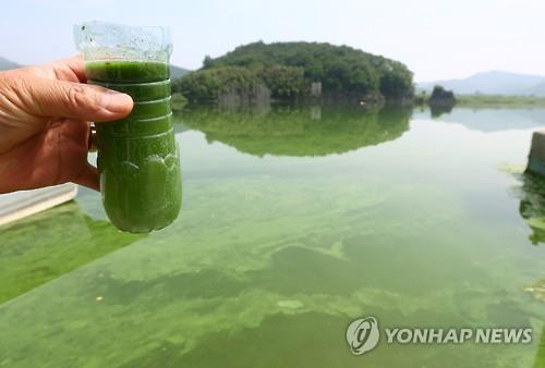 MB가 평생 쳐마셔야 하는 음료 | 인스티즈
