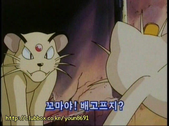 [포켓몬] 나옹이의 가나다라마바사 | 인스티즈