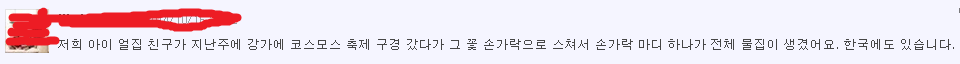 악마의식물 자이언트 하귀드 - 이거 진짜 한국에도 서식할까요? (혐오주의) | 인스티즈