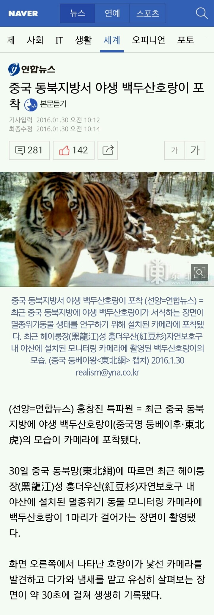 중국 동북지방서 야생 백두산호랑이 포착 | 인스티즈