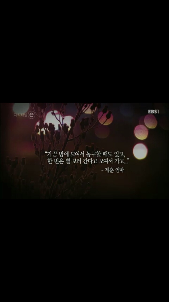 [[세월호]] [[[눈물주의]] ] 엄마, 내 친구들은 참 멋진 녀석들이에요 | 인스티즈