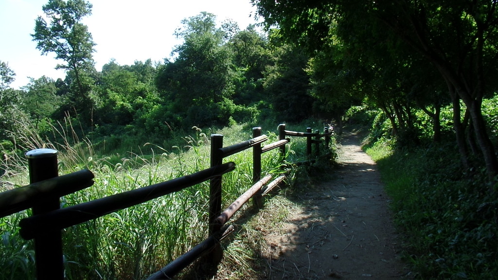 5000년전 마한시대 고인돌이 있는 전주 황방산 공원 산책하기 (안구정화) | 인스티즈