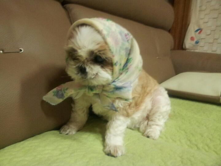 (주)정다 이미지