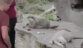 자~ 골라골라.gif | 인스티즈
