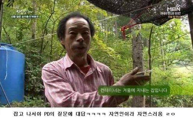 말벌잡는아저씨ㅋㅋㅋㅋㅋㅋㅋㅋ | 인스티즈
