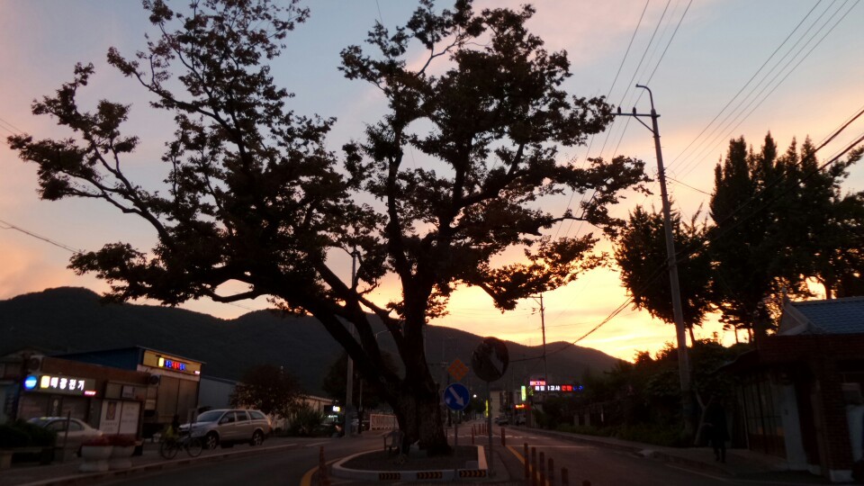 동*김* 이미지