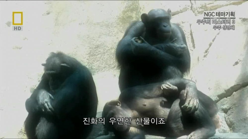 과학자들의 외계 생명체를 찾기위한 노력들.jpg | 인스티즈