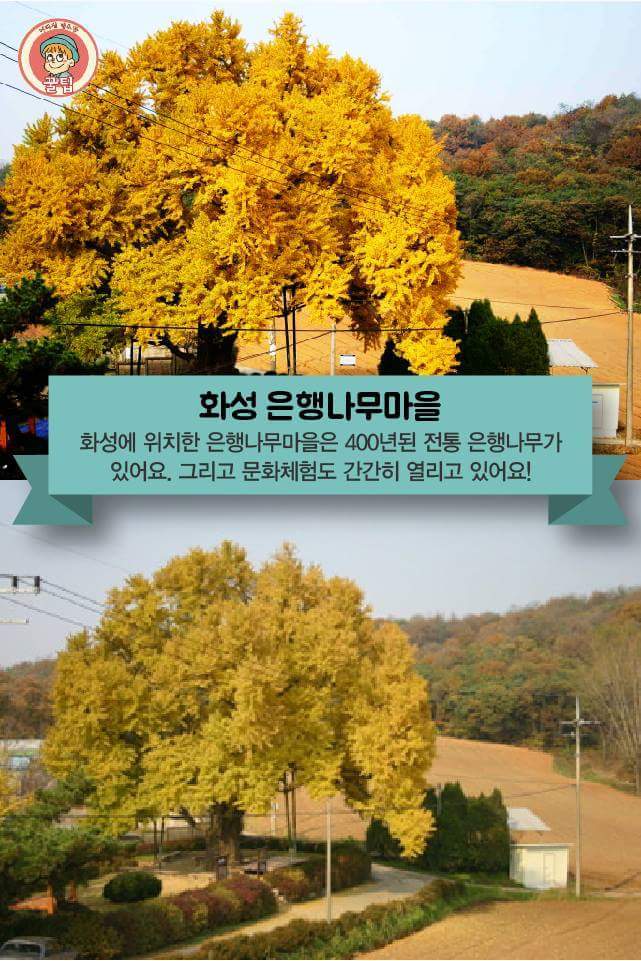 전국의 가을 단풍 여행지 추천 8곳 | 인스티즈