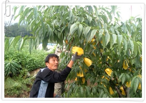 화산농원 이미지