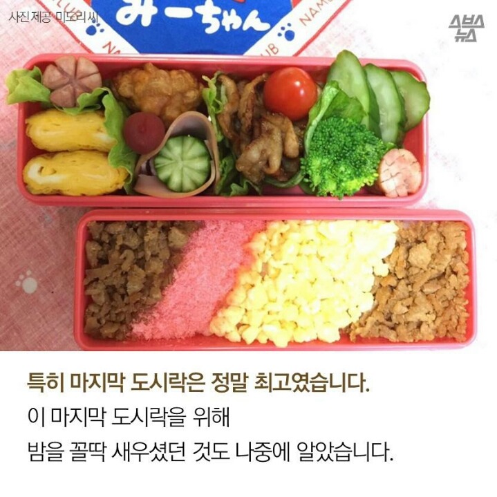 3년간 싸주신 아빠의 마지막 도시락 | 인스티즈