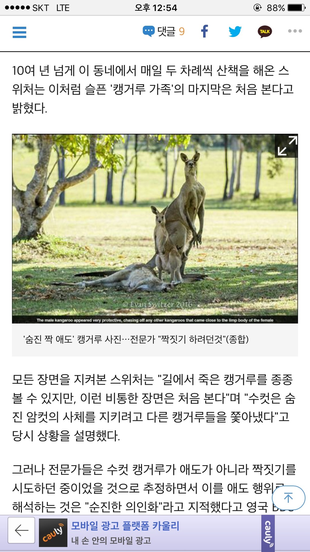 전문가는 너무해 ㅜㅛㅜ | 인스티즈