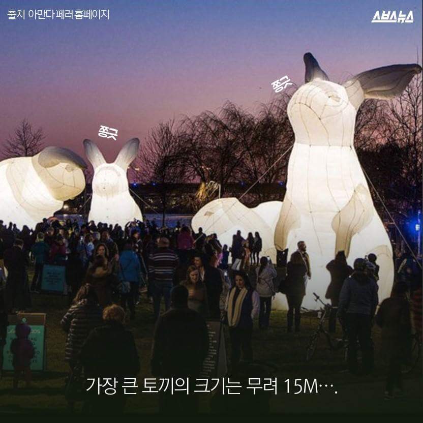한국을 습격한 거대 토끼 | 인스티즈