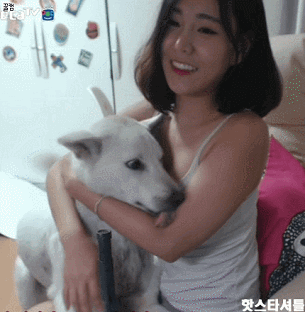 하.... 이런 개만도 못한 인생... | 인스티즈