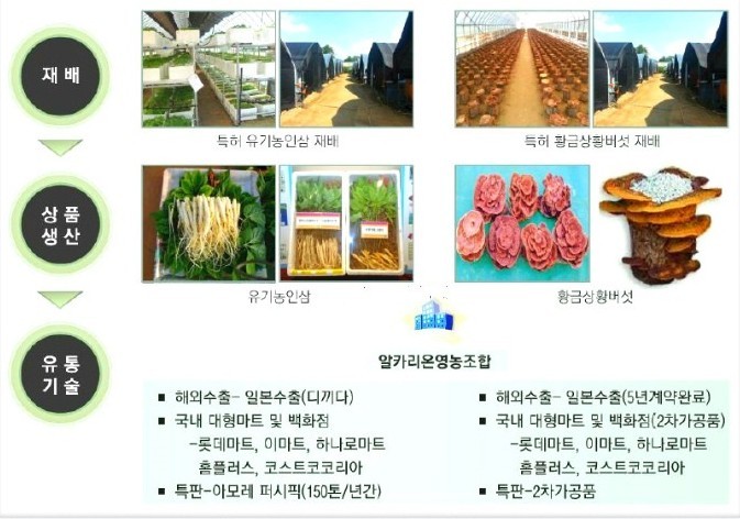 알카리온 영농조합 이미지