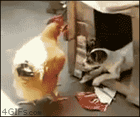 개란 만들기.gif | 인스티즈