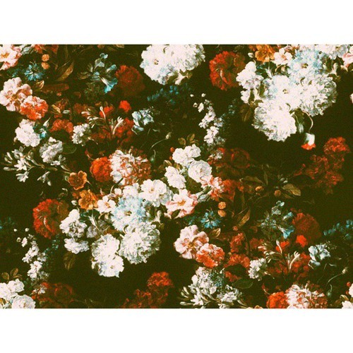 나 이끼처럼 당신을 덮고 있어요.﻿ | 인스티즈