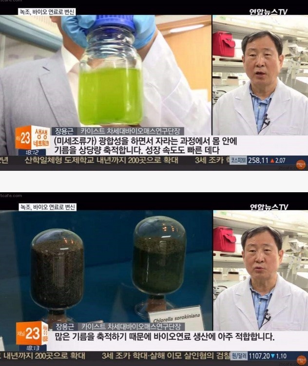 산유국이 된 한국.jpg | 인스티즈