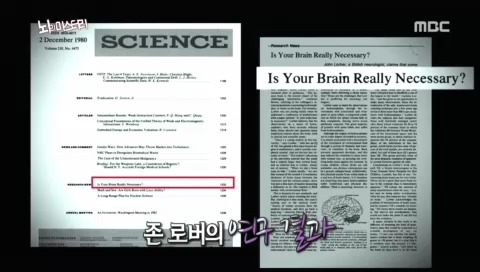뇌의 미스테리 | 인스티즈