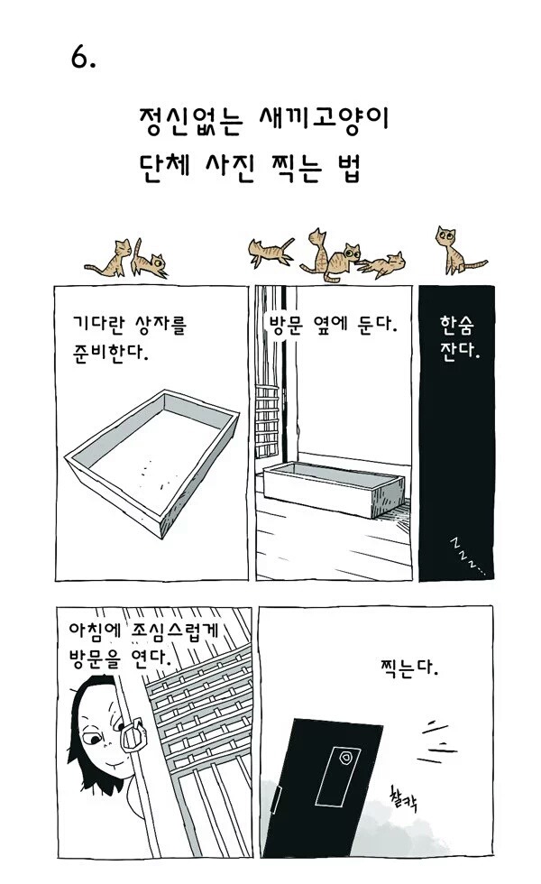 고양이 여덟마리와 사는만화 | 인스티즈