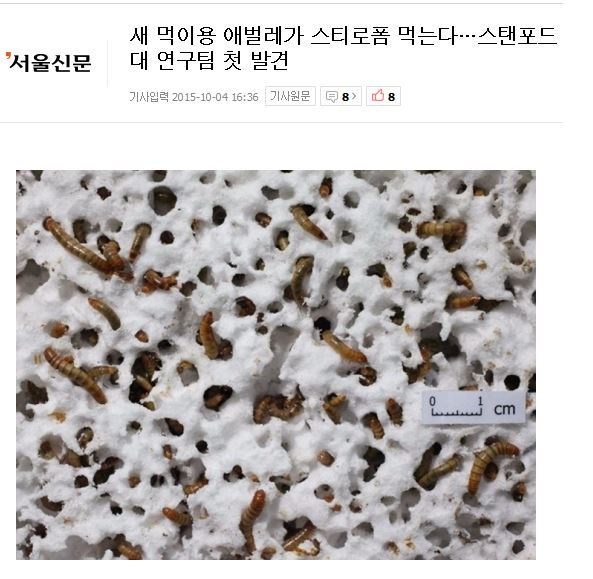 ??? : 스탠포드 연구진이 베꼈네... | 인스티즈