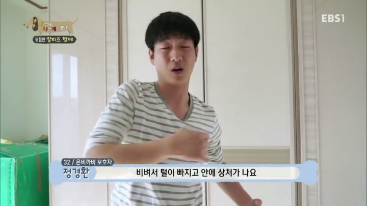 [세나개] 공격적인 반려견이 되는 이유 1부.jpg | 인스티즈