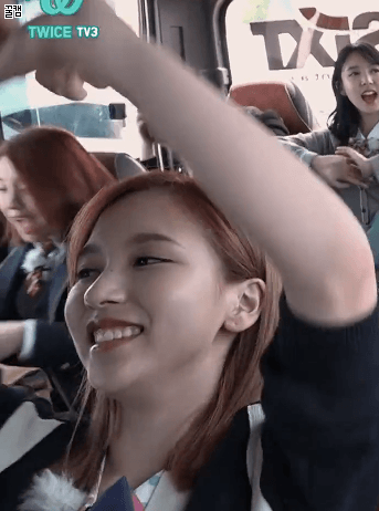 트와이스 아기맹수 채영이의 갸르릉 | 인스티즈