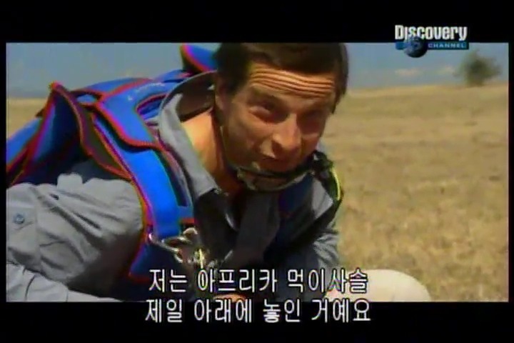 다시는 코끼리를 무시하지 마라! | 인스티즈