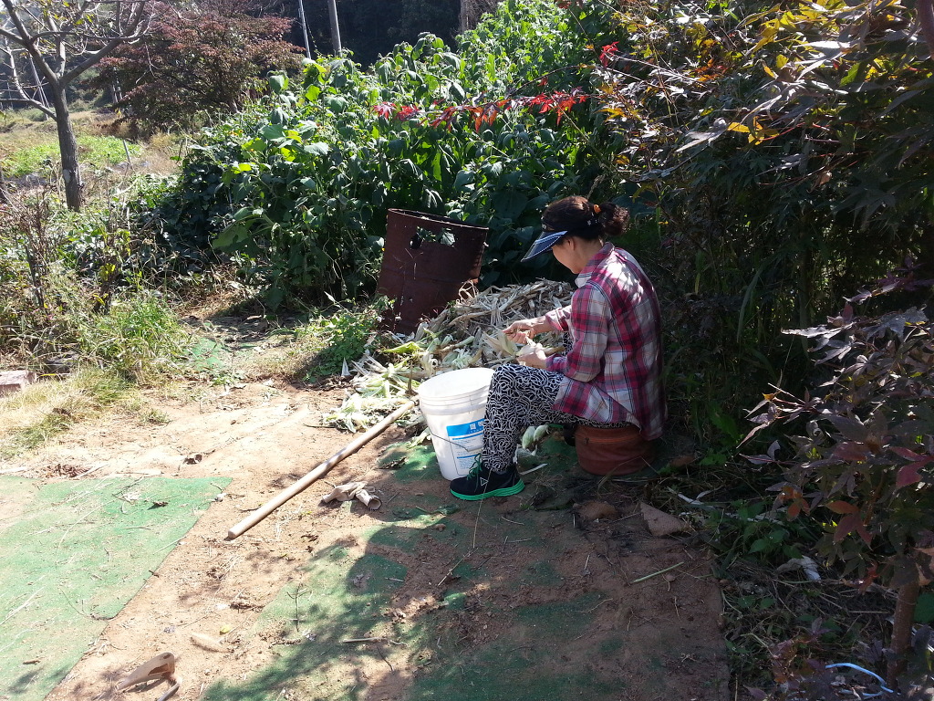 (주)호성 이미지