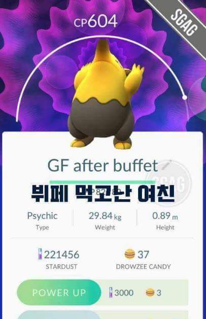 천조국의 흔한 포켓몬고 작명.jpg | 인스티즈