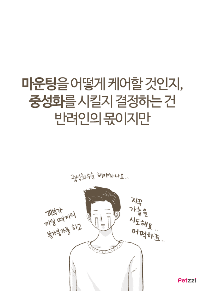 강아지 붕가붕가.jpg | 인스티즈