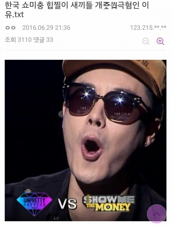 한 디시인의 쇼미더머니 싫어하는 이유 | 인스티즈