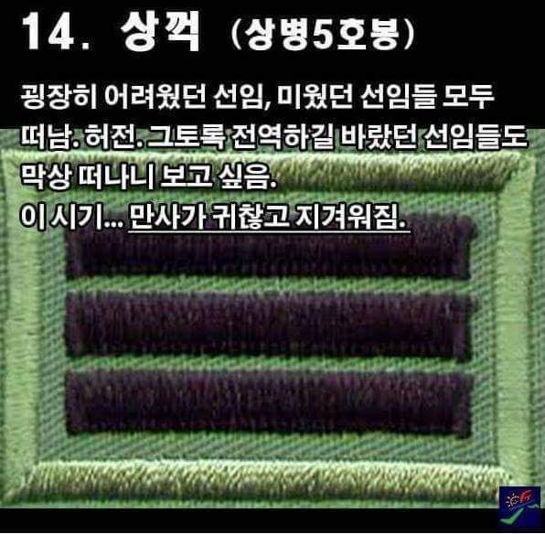 군입대후 남자들의 심정 | 인스티즈