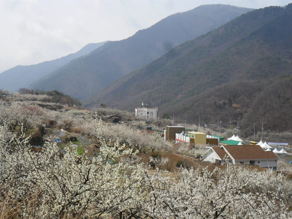 원동 이미지