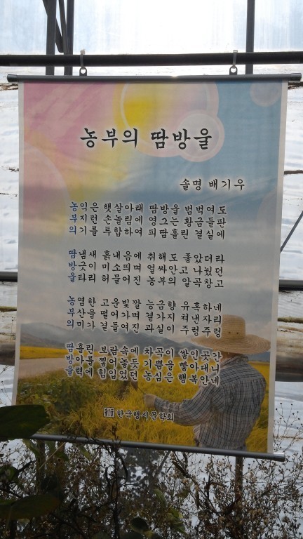 솔명 이미지