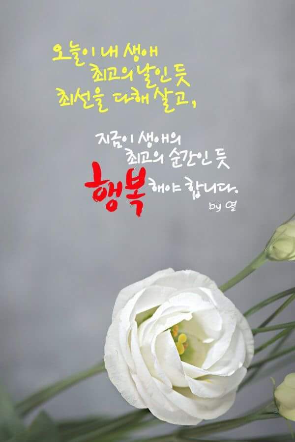 여비서 이미지