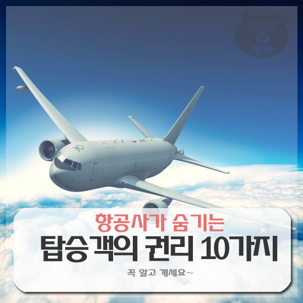 항공사가 숨기는 탑승객 권리 10가지 | 인스티즈