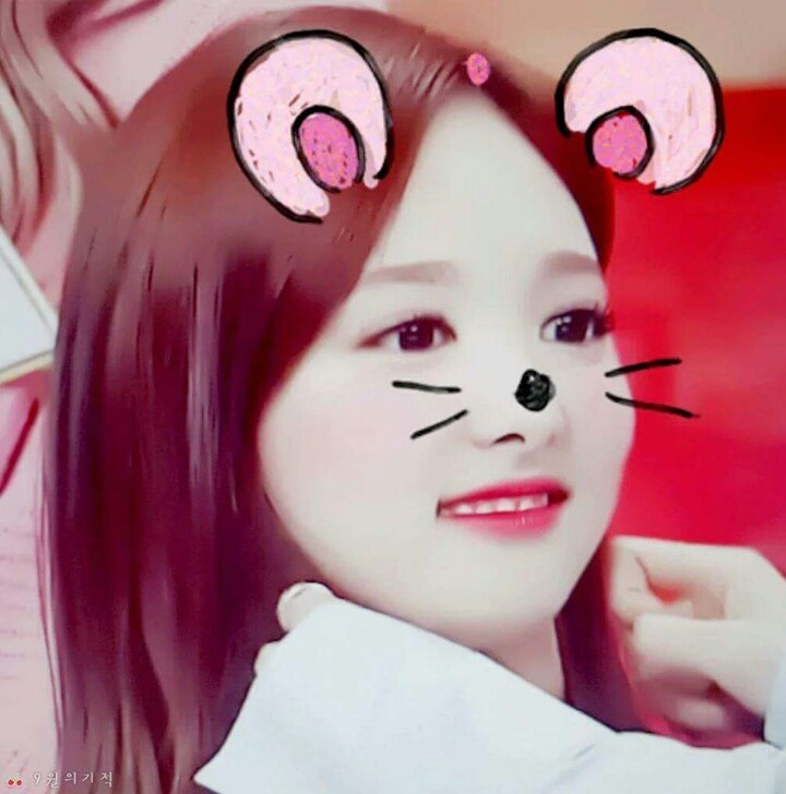 트와이스 토끼 나연 | 인스티즈