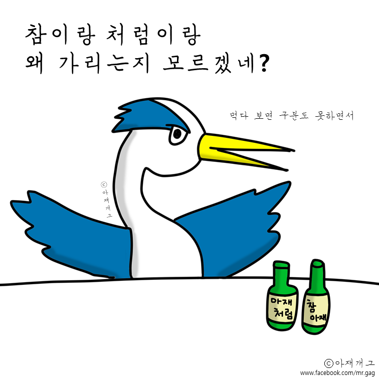 새들이 술마실때 ㅋㅋㅋㅋㅋ | 인스티즈