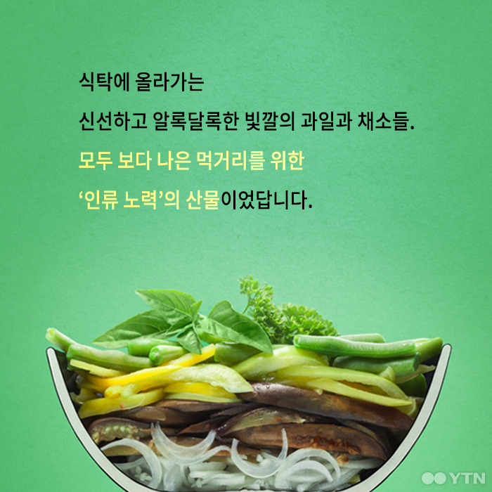 당신이 모르는 수박의 숨겨진 과거 | 인스티즈