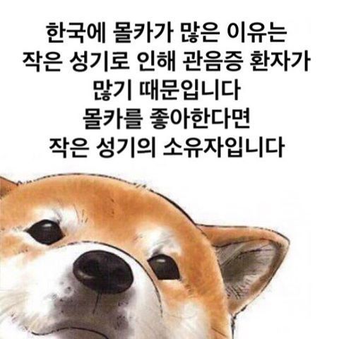 인스타그램의 계정ㅋㅋㅋㅋㅋ | 인스티즈