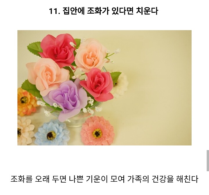복 불러온다는 풍수 인테리어 방법 14가지.jpg | 인스티즈
