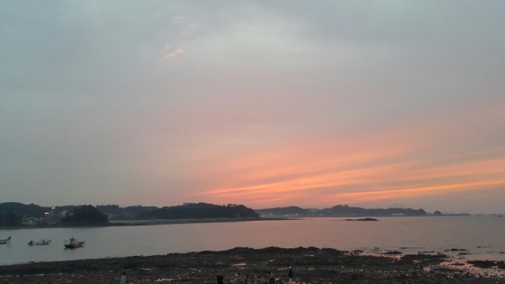 석향 이미지